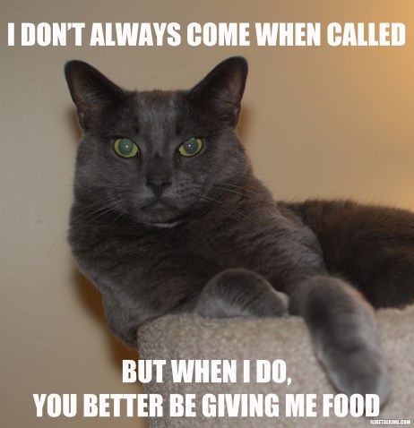 dont-always-come-when-called