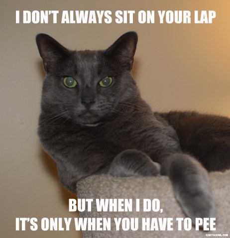 i-dont-always-sit-on-your-lap