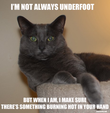 not-always-underfoot